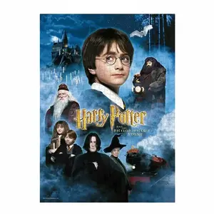 HARRY POTTER, SDTWRN23241 pas cher