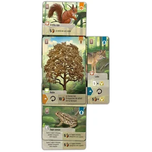 Lookout Games Jeu De Société Forest Shuffle pas cher