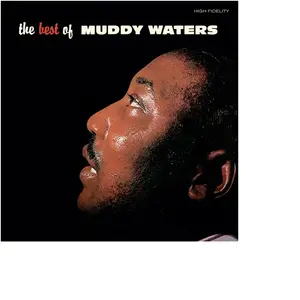 Intercord The Best Of Muddy Waters Vinyle Transparent pas cher