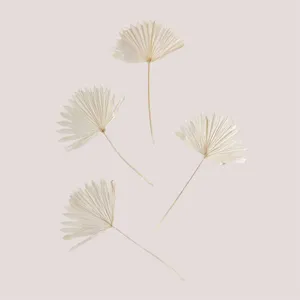 Lot de 4 branches séchées décoratives Urpek SKLUM Blanc pas cher