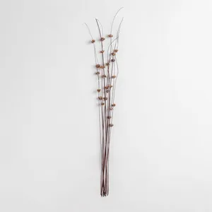 Sklum Paquet De 10 Branches De Zinia Décoratives Séchées Brun pas cher