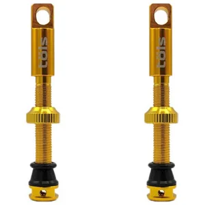 Tols Soupapes Tubeless pas cher