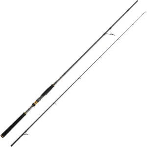 Cinnetic Canne Jigging Raycast Xbr ShoreVendu parwaveinn