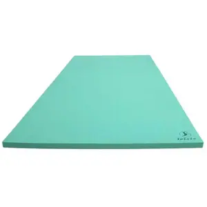 Leisis Tapis Flottant Floating Cover ThinVendu parswimmin