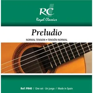 Royal classics Estudio vert nylon clair pas cher