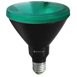 BENEITO FAURE Ampoule led PAR38 15W E27 Réflecteur parabolique Vert pas cher