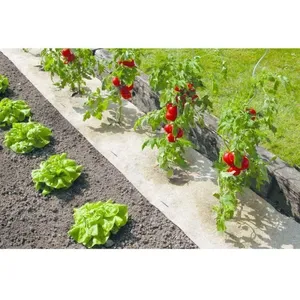 Paillage naturel pour jardin et potager 100% biodégradable - NORTENE - 50 x 300 cm - 500 g/m2 pas cher