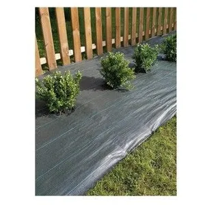 Celloplast - Toile de paillage verte 1,25 x 100m weedsol pas cher