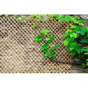 NORTENE Tuteur échelle en métal Nortène - Wick trellis 0,50 X1,50 - Marron pas cher