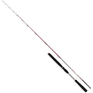 Renzo Valdieri Canne Jigging Reggia