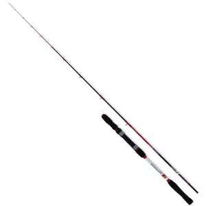 Kali Kunnan Canne Jigging Brava
