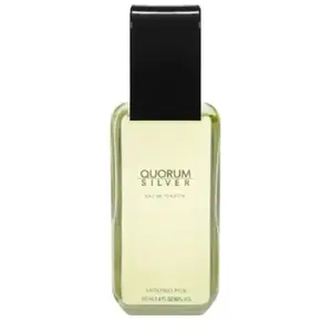 Quorum Silver de Puig EDT Spray 100ml pas cher