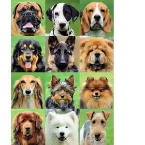 Educa collage van honden puzzel 500 stukjes pas cher