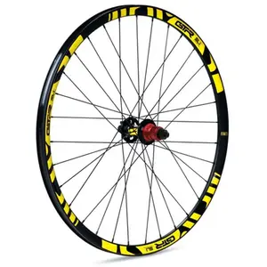 Gtr Roue Arrière De Vtt Sl20 29´´ Disc pas cher