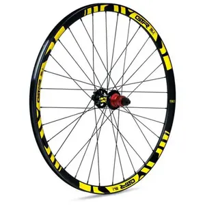 Gtr Roue Arrière De Vtt Sl23 29´´ Disc pas cher