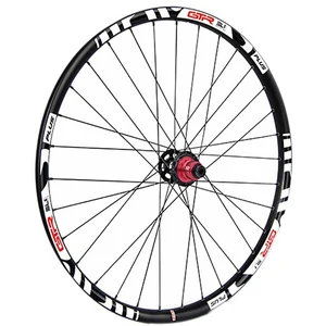 Gtr Roue Arrière De Vtt Sl35 E-bike Plus 29´´ Disc Tubeless pas cher
