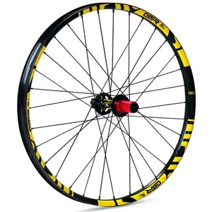 Gtr Roue Arrière De Vtt Sl35 E-bike Boost 29´´ 6b Disc Tubeless pas cher