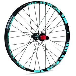 Gtr Roue Arrière De Vtt Sl35 Boost Plus 29´´ 6b Disc Tubeless pas cher