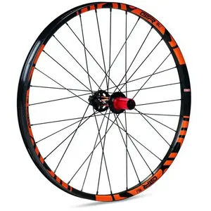 Gtr Roue Arrière De Vtt Sl35 Boost Plus 29´´ 6b Disc Tubeless pas cher