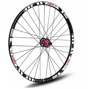 Gtr Roue Arrière De Vtt Sl35 Boost Plus 29´´ 6b Disc Tubeless pas cher