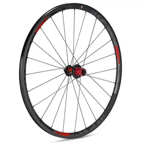 Gtr Roue Arrière De Route Rr17 Disc Tubular pas cher