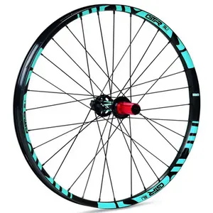 Gtr Roue Arrière De Vtt Sl27 29´´ Disc pas cher