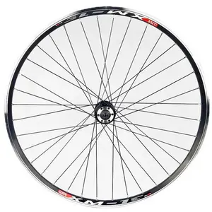Gurpil Roue Avant Vtt Xm-1 29´´ 6b Disc pas cher