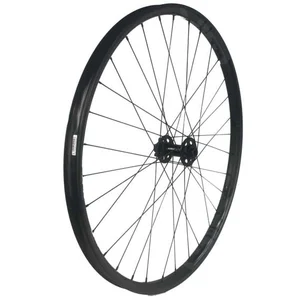 Gtr Roue Avant Vtt Sl30 Boost 29´´ Cl Disc Tubeless pas cher
