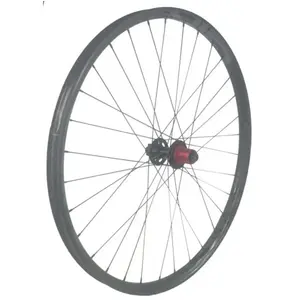 Gtr Roue Arrière De Vtt Sl30 Boost 29´´ Disc Cl Tubeless pas cher