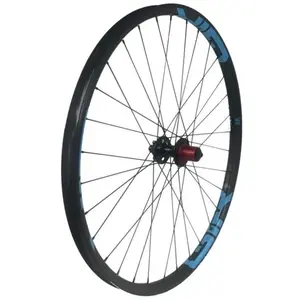 Gtr Roue Arrière De Vtt Sl30 Boost 29´´ Disc Cl Tubeless pas cher