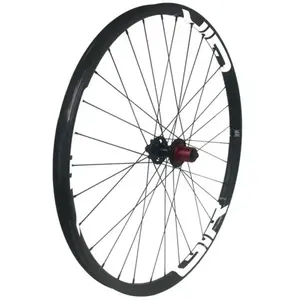 Gtr Roue Arrière De Vtt Sl30 Boost 29´´ Disc Cl Tubeless pas cher