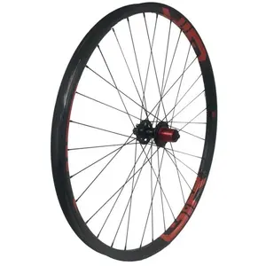 Gtr Roue Arrière De Vtt Sl30 Boost 29´´ Disc Cl Tubeless pas cher