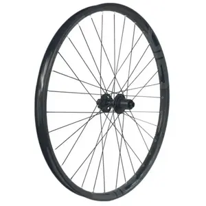 Gtr Roue Arrière De Vtt Sl30 E-bike Boost 29´´ Cl Disc Tubeless pas cher