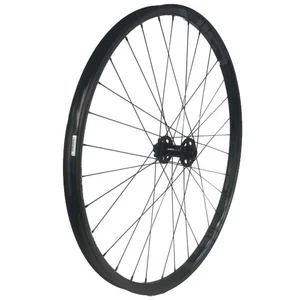Gtr Roue Avant Vtt Sl30 29´´ Disc Tubeless pas cher