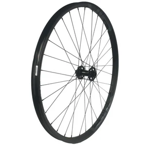 Gtr Roue Avant Vtt Sl30 Boost 29´´ Disc 6b Tubeless pas cher