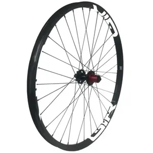 Gtr Roue Arrière De Vtt Sl30 Boost 29´´ Disc 6b Tubeless pas cher