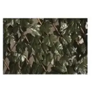 CATRAL Treillis Osier Extensible A Feuilles 1x2m pas cher