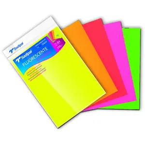 Aucune Pack 5 Bristol A4 Fluorescents assortiment pas cher