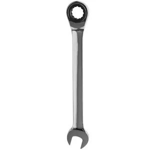 Alfa Dyser - Clé mixte à cliquet Stein cr-v de 25 mm pas cher