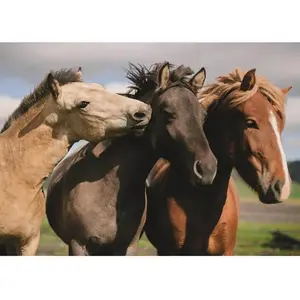 Dino Toys Paarden puzzel 300 stukjes. pas cher