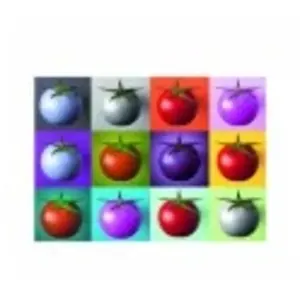 Dino Pop Art - Tomates 53296 pas cher