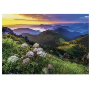 Dino Mala Fatra 50270 pas cher