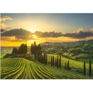 Dino Puzzle XL - Vignoble Maremma 51414 pas cher