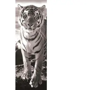 Dino Tigre 54543 pas cher