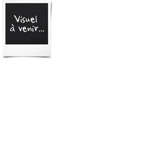 Tondeuse sans fil - FIELDMANN - 20V - Coupe 33 cm - Hauteur max 65 mm ... pas cher