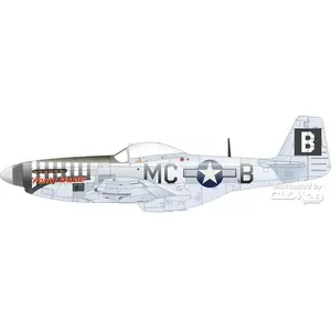 Eduard P-51D-5 8th AF pas cher