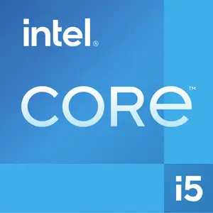 Intel Core i5-13400F (LGA 1700, 2.50 GHz, 10 -Core), Processeur pas cher
