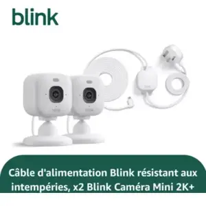 Caméra de surveillance BLINK Indoor Outdoor Camera pas cher