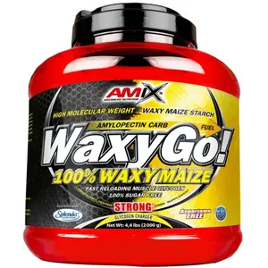 Amix Glucides Waxygo Fruits 2kg pas cher