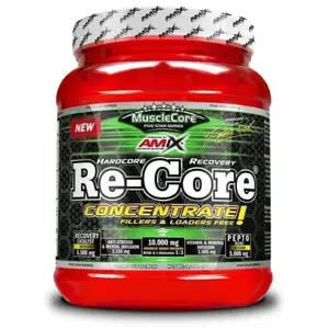 Amix Acide Aminé Re-core Concentrate Fruits 540g pas cher